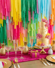 Party Time Fringe Backdrop