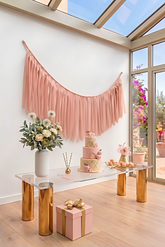 Elegant Blush Single-Layer Fringe Garland Banner