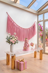 Elegant Bubblegum Single-Layer Fringe Garland Banner