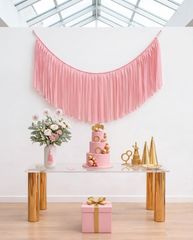 Elegant Baby Pink Single-Layer Fringe Garland Banner