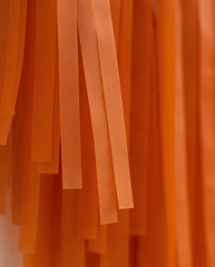 Elegant Burnt Orange Single-Layer Fringe Garland Banner