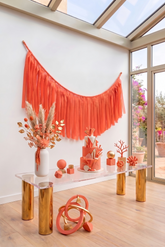 Elegant Coral Single-Layer Fringe Garland Banner
