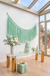 Elegant Mint Single-Layer Fringe Garland Banner