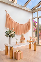 Elegant Peach Single-Layer Fringe Garland Banner