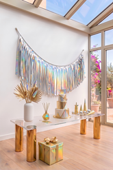 Elegant Silver Single-Layer Fringe Garland Banner