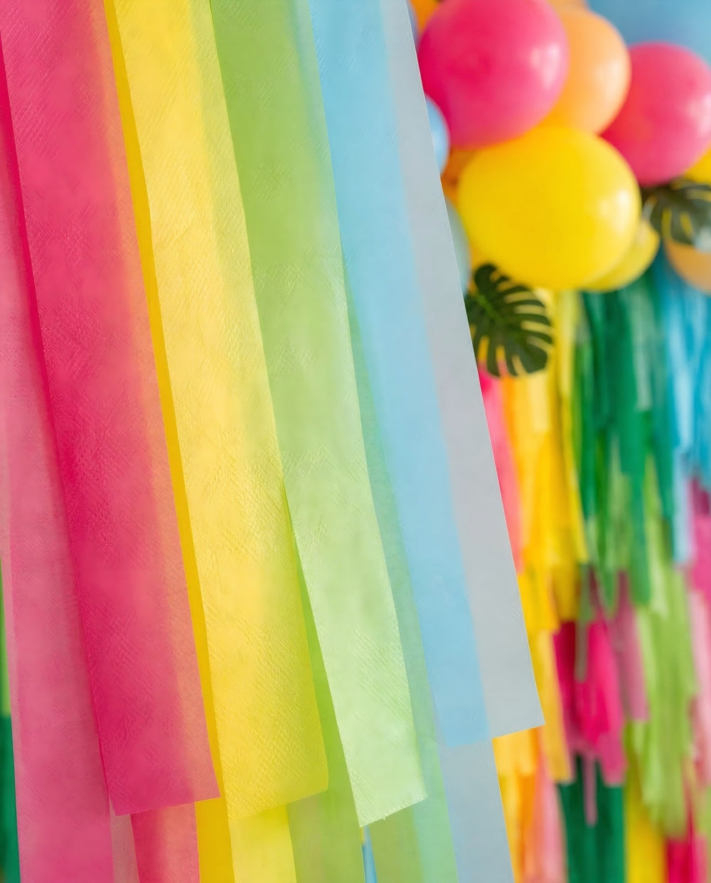 Party Time Fringe Backdrop