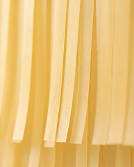 Elegant Buttercup Single-Layer Fringe Garland Banner