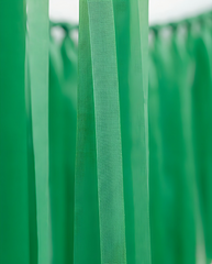 Elegant Kelly Green Single-Layer Fringe Garland Banner