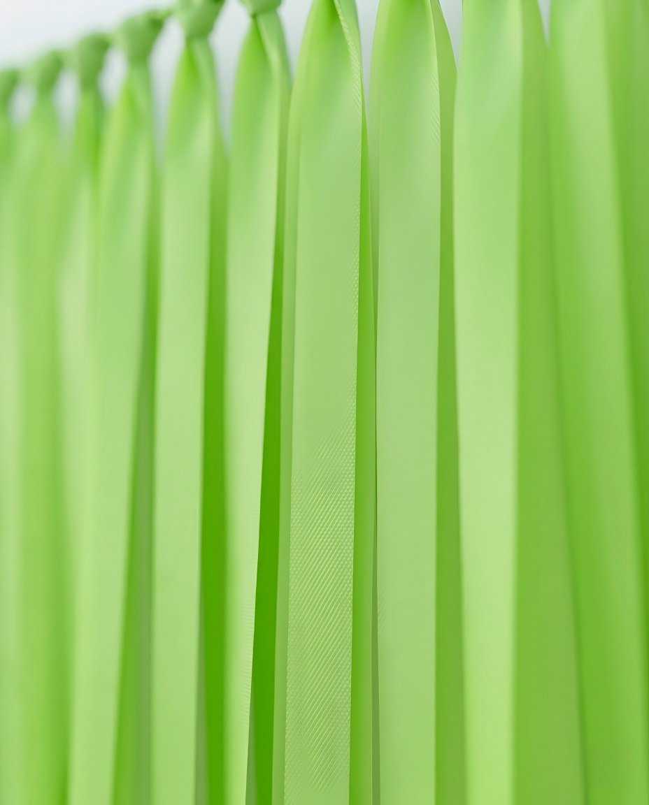 Elegant Lime Green Single-Layer Fringe Garland Banner