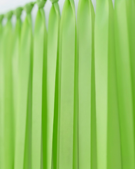 Elegant Lime Green Single-Layer Fringe Garland Banner